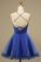 Mesh Homecoming Dresses Kaiya Royal Blue Net V-Neck Party Dress