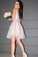 A-Line Tulle Angelina Homecoming Dresses Appliques