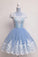Kaliyah Homecoming Dresses Lace Short Blue Party Dress With Appliques CD11262