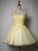 Cute Light Yellow Tulle Sweetheart Short Party Homecoming Dresses Raelynn Dress 2024 CD12129