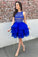 Cute A-Line Royal Blue Isla Homecoming Dresses Lace Top Organza Skirt Tiered Short CD12321