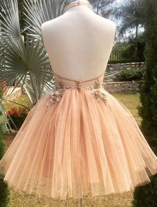Champagne High Neck Homecoming Dresses Amina Lace Tulle Short Dress Tulle Formal Dress CD12654