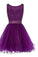 Lace Homecoming Dresses A Line Adalynn Elegant Purple Short CD12798