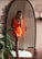 Homecoming Dresses Kamora Orange Short CD13454
