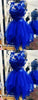 Organza Ruffles With 3D Flowers Royal Blue Lace Micaela Homecoming Dresses CD175