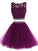 Elegant Two Homecoming Dresses Meg Piece Short Tulle Purple CD234