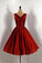 Iris Homecoming Dresses Elegant Short CD23645