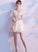 Short Lovely Tulle And Mini Short Party Dress Graduation Dress Dana Lace Homecoming Dresses Ivory CD24555