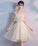 Champagne Tulle Short Dress Homecoming Dresses Meredith Champagne CD3036
