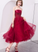 Lace Homecoming Dresses Judith Cute Tulle Short Dress CD3515