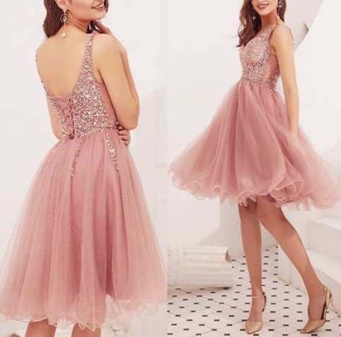 Cute Back Yamilet Homecoming Dresses Pink To School Dress Tulle Party Dress CD3701