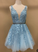 Baby Blue V Neck Tulle 2024 Cute Party Dress Homecoming Dresses Abby Lace CD4428