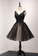Aliana Lace Homecoming Dresses Black V Neck Tulle Short Party Dress CD4719