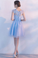 LIGHT BLUE A LINE Amy Homecoming Dresses TULLE LACE SHORT DRESS 2024 CD4948