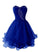 Organza Short Beaded Homecoming Dresses Ashlyn Cute CD5637