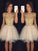 A-Line/Princess Sleeveless Scoop Homecoming Dresses Evie Paillette Tulle Short/Mini Dresses