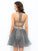 A-Line/Princess High Neck Ruffles Sleeveless Lena Homecoming Dresses Short Net Two Piece Dresses